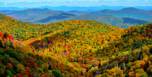 Fuel_Up_for_Fall_Blog_Images__4_.png