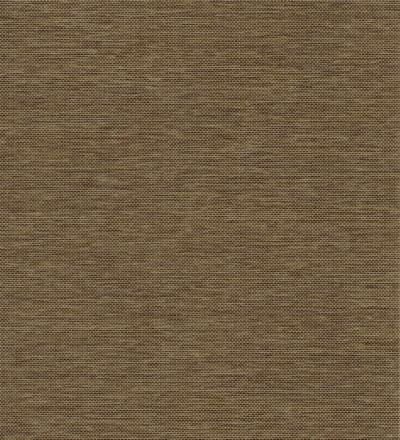 Sofia Daylight™ - Rye - 